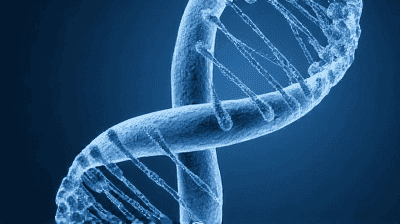 Should We Edit Human Embryos? The CRISPR Ethics Debate Explained