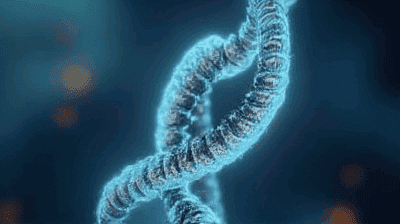 Should We Edit Human Embryos? The CRISPR Ethics Debate Explained